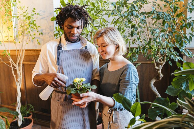 Tips for Keeping Your Houseplants Healthy and Thriving